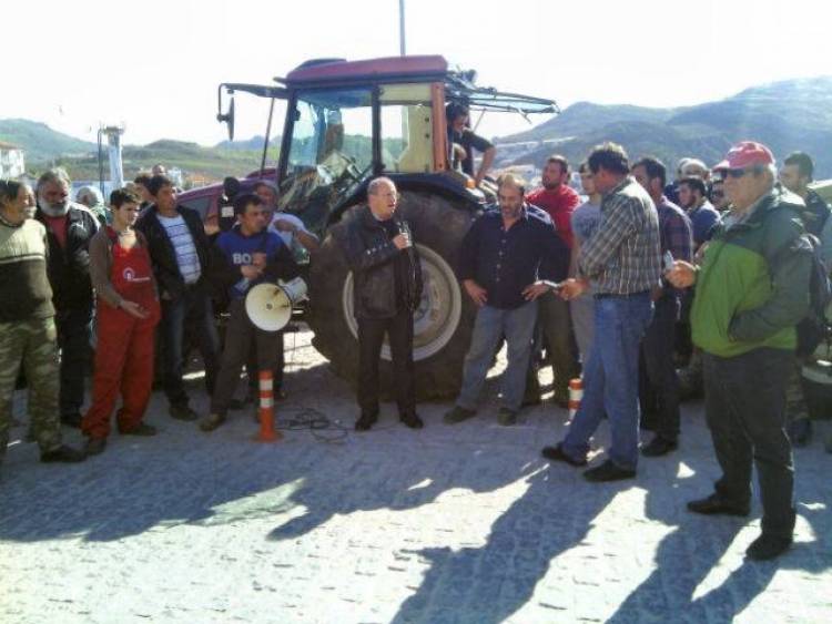 &Alpha;&nu;&upsilon;&pi;&omicron;&chi;ώ&rho;&eta;&tau;&omicron;&iota; &omicron;&iota; &alpha;&gamma;&rho;ό&tau;&epsilon;&sigmaf; &Lambda;ή&mu;&nu;&omicron;&upsilon; | &Sigma;&tau;&omicron; &pi;&lambda;&epsilon;&upsilon;&rho;ό &tau;&omicron;&upsilon;&sigmaf; &omicron; &Delta;ή&mu;&omicron;&sigmaf; &Lambda;ή&mu;&nu;&omicron;&upsilon; (photos)