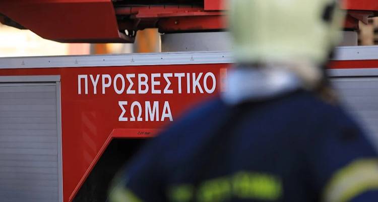 Λήμνος: Φωτιά αυτή την ώρα στο Θάνος | Επί τόπου η Πυροσβεστική.