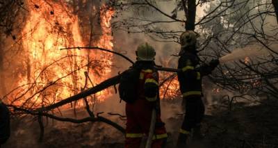 &Phi;&omega;&tau;&iota;ά &sigma;&tau;&eta; &Gamma;&omicron;&rho;&tau;&upsilon;&nu;ί&alpha;: &Mu;ά&chi;&eta; &mu;&epsilon; &tau;&iota;&sigmaf; &alpha;&nu;&alpha;&zeta;&omega;&pi;&upsilon;&rho;ώ&sigma;&epsilon;&iota;&sigmaf; | &Epsilon;&kappa;&kappa;&epsilon;&nu;ώ&theta;&eta;&kappa;&alpha;&nu; &sigma;&upsilon;&nu;&omicron;&lambda;&iota;&kappa;ά 21 &omicron;&iota;&kappa;&iota;&sigma;&mu;&omicron;ί