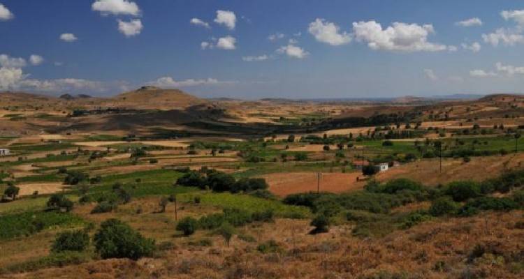 &Sigma;&tau;&omicron;&nu; &alpha;έ&rho;&alpha; &omicron; &alpha;&nu;&alpha;&delta;&alpha;&sigma;&mu;ό&sigmaf; &tau;&eta;&sigmaf; &Alpha;&tau;&sigma;&iota;&kappa;ή&sigmaf; | &Kappa;ί&nu;&delta;&upsilon;&nu;&omicron;&sigmaf; &nu;&alpha; &chi;&alpha;&theta;&omicron;ύ&nu; &tau;&alpha; &chi;&rho;ή&mu;&alpha;&tau;&alpha;