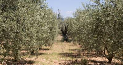 &Xi;&epsilon;&kappa;&iota;&nu;ά &eta; &pi;&rho;ώ&tau;&eta; &phi;ά&sigma;&eta; &delta;&alpha;&kappa;&omicron;&kappa;&tau;&omicron;&nu;ί&alpha;&sigmaf; &sigma;&tau;&eta; &Lambda;ή&mu;&nu;&omicron; | &Alpha;&nu;&alpha;&lambda;&upsilon;&tau;&iota;&kappa;ά &tau;&omicron; &pi;&rho;ό&gamma;&rho;&alpha;&mu;&mu;&alpha;