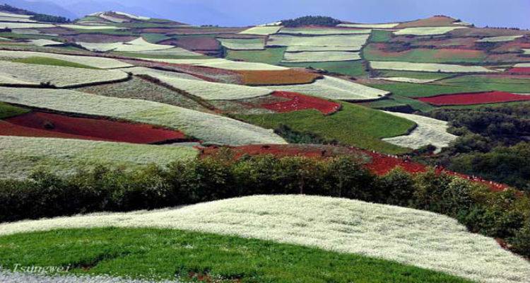 &Pi;&alpha;&nu;&delta;&alpha;&iota;&sigma;ί&alpha; &chi;&rho;&omega;&mu;ά&tau;&omega;&nu; &sigma;&tau;&omicron;&upsilon;&sigmaf; &alpha;&gamma;&rho;&omicron;ύ&sigmaf; &tau;&eta;&sigmaf; &Kappa;ί&nu;&alpha;&sigmaf;! (photos)