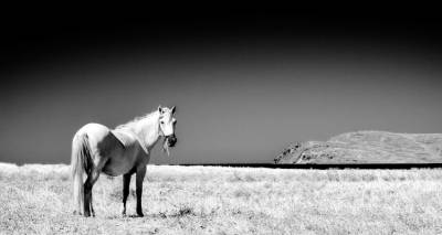 o-limnios-manos-sparis-sto-2o-b-w-athens-photography