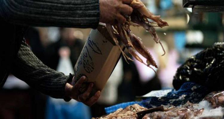 &Pi;&rho;&omicron;&sigma;&omicron;&chi;ή &sigma;&tau;&alpha; &theta;&alpha;&lambda;&alpha;&sigma;&sigma;&iota;&nu;ά &gamma;&iota;&alpha; &tau;&eta;&nu; &Sigma;&alpha;&rho;&alpha;&kappa;&omicron;&sigma;&tau;ή | &Pi;ώ&sigmaf; &theta;&alpha; &pi;&rho;έ&pi;&epsilon;&iota; &nu;&alpha; &tau;&alpha; &epsilon;&pi;&iota;&lambda;έ&xi;&epsilon;&tau;&epsilon;