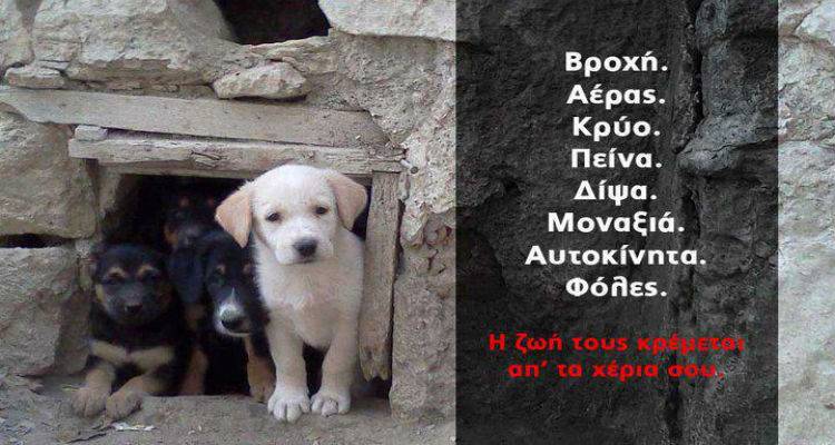 «Προσοχή φόλες» στη Μύρινα