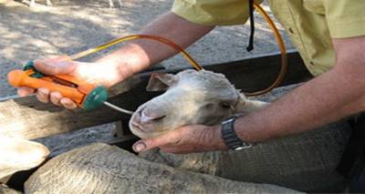 &Lambda;&epsilon;&iota;&tau;&omicron;&upsilon;&rho;&gamma;&epsilon;ί &alpha;&pi;ό &epsilon;&chi;&theta;έ&sigmaf; &eta; &tau;&eta;&lambda;&epsilon;&phi;&omega;&nu;&iota;&kappa;ή &gamma;&rho;&alpha;&mu;&mu;ή &tau;&eta;&sigmaf; &Kappa;&tau;&eta;&nu;&iota;&alpha;&tau;&rho;&iota;&kappa;ή&sigmaf; &Upsilon;&pi;&eta;&rho;&epsilon;&sigma;ί&alpha;&sigmaf; &Lambda;ή&mu;&nu;&omicron;&upsilon;