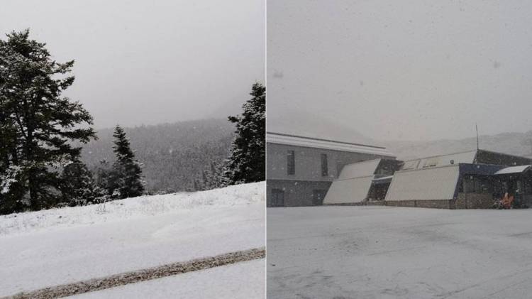 &Kappa;&alpha;&iota;&rho;ό&sigmaf;: &Sigma;&tau;&alpha; &laquo;&lambda;&epsilon;&upsilon;&kappa;ά&raquo; &eta; &Epsilon;&lambda;&lambda;ά&delta;&alpha; | &Pi;&omicron;ύ &laquo;&chi;&tau;ύ&pi;&eta;&sigma;&epsilon;&raquo; &omicron; &chi;&iota;&omicron;&nu;&iota;ά&sigmaf;