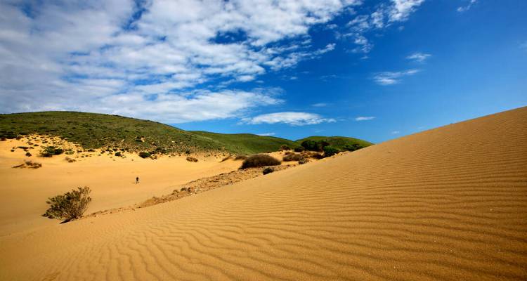 Φωτογραφία: Αμμοθίνες, Λήμνος / Shutterstock