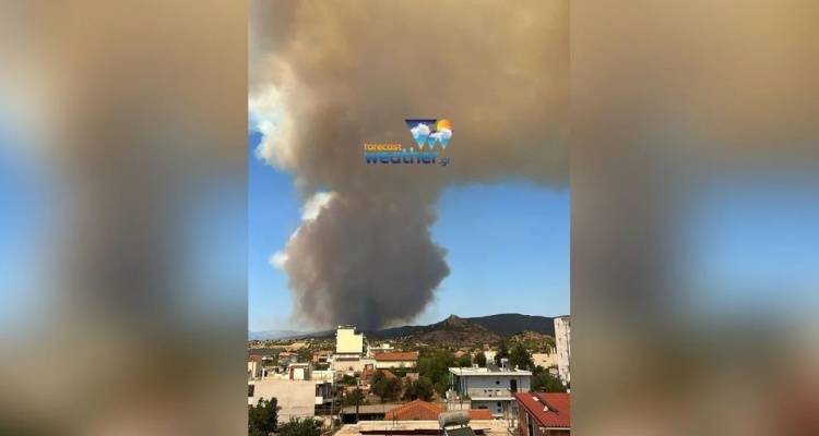 &Epsilon;ύ&beta;&omicron;&iota;&alpha;: &Eta; &phi;&omega;&tau;&iota;ά &alpha;&pi;&epsilon;&iota;&lambda;&epsilon;ί &tau;&omicron; &Alpha;&phi;&rho;ά&tau;&iota; &pi;&omicron;&upsilon; &epsilon;&kappa;&kappa;&epsilon;&nu;ώ&theta;&eta;&kappa;&epsilon; -&Pi;&upsilon;&rho;&omicron;&sigma;&beta;&epsilon;&sigma;&tau;&iota;&kappa;ό&sigmaf; &kappa;&lambda;&omicron;&iota;ό&sigmaf; &gamma;&iota;&alpha; &nu;&alpha; &pi;&rho;&omicron;&sigma;&tau;&alpha;&tau;&epsilon;&upsilon;&tau;&omicron;ύ&nu; &tau;&alpha; &sigma;&pi;ί&tau;&iota;&alpha;