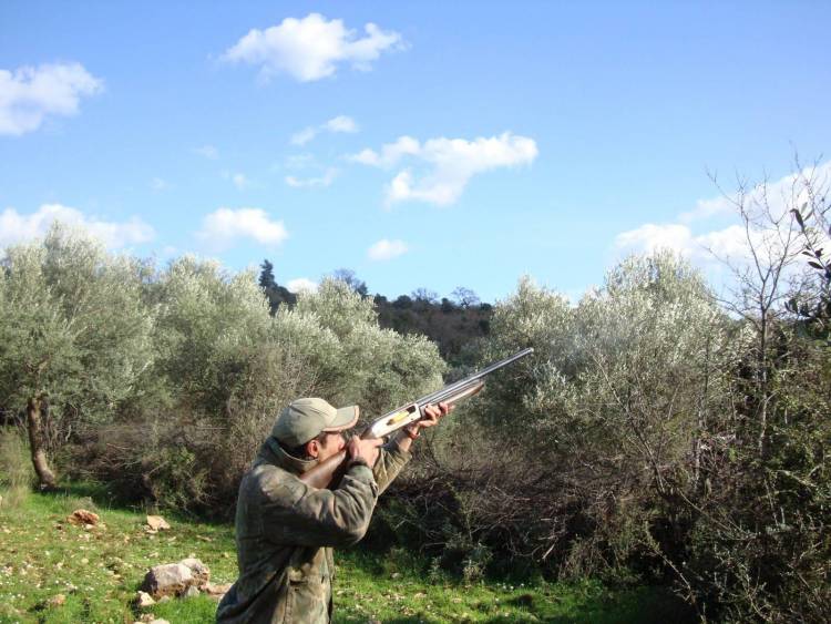 &Gamma;&iota;&alpha; &kappa;&alpha;&lambda;&omicron;&sigma;&tau;&eta;&mu;έ&nu;&eta; &pi;&alpha;&gamma;ί&delta;&alpha; &kappa;ά&nu;&omicron;&upsilon;&nu; &lambda;ό&gamma;&omicron; &omicron;&iota; &delta;ύ&omicron; &sigma;&upsilon;&lambda;&lambda;&eta;&phi;&theta;έ&nu;&tau;&epsilon;&sigmaf; &kappa;&upsilon;&nu;&eta;&gamma;&omicron;ί &alpha;&pi;ό &tau;&eta;&nu; &Kappa;&alpha;&beta;ά&lambda;&alpha;