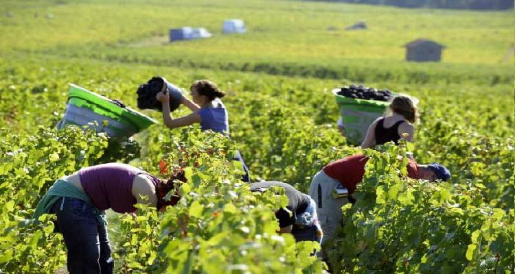 &Xi;&epsilon;&kappa;ί&nu;&eta;&sigma;&alpha;&nu; &omicron;&iota; &alpha;&iota;&tau;ή&sigma;&epsilon;&iota;&sigmaf; &gamma;&iota;&alpha; &pi;&rho;ώ&iota;&mu;&eta; &sigma;&upsilon;&gamma;&kappa;&omicron;&mu;&iota;&delta;ή &sigma;&tau;&alpha;&phi;&upsilon;&lambda;&iota;ώ&nu;