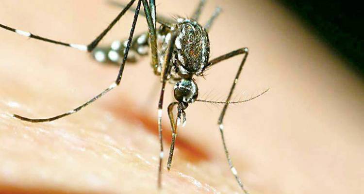&Tau;&rho;&epsilon;&iota;&sigmaf; &theta;ά&nu;&alpha;&tau;&omicron;&iota; &kappa;&alpha;&iota; 60 &kappa;&rho;&omicron;ύ&sigma;&mu;&alpha;&tau;&alpha; &alpha;&pi;ό &tau;&omicron;&nu; &iota;ό &tau;&omicron;&upsilon; &Delta;&upsilon;&tau;&iota;&kappa;&omicron;ύ &Nu;&epsilon;ί&lambda;&omicron;&upsilon;