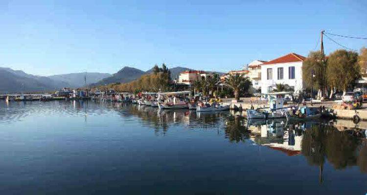 &Beta;&rho;&epsilon;&tau;&alpha;&nu;&omicron;ί &epsilon;&pi;έ&sigma;&tau;&rho;&epsilon;&psi;&alpha;&nu; &sigma;&tau;&eta; &Lambda;έ&sigma;&beta;&omicron; έ&pi;&epsilon;&iota;&tau;&alpha; &alpha;&pi;ό 40 &chi;&rho;ό&nu;&iota;&alpha; | &Gamma;&iota;&alpha; &nu;&alpha; &delta;ώ&sigma;&omicron;&upsilon;&nu; &phi;&omega;&tau;&omicron;&gamma;&rho;&alpha;&phi;ί&alpha; &pi;&omicron;&upsilon; &epsilon;ί&chi;&alpha;&nu; &upsilon;&pi;&omicron;&sigma;&chi;&epsilon;&theta;&epsilon;ί