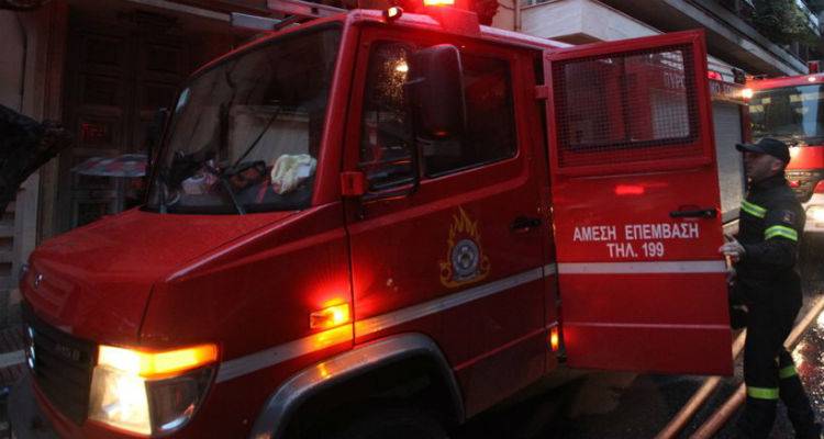 &Beta;&rho;έ&phi;&omicron;&sigmaf; 14 &mu;&eta;&nu;ώ&nu; &epsilon;&nu;&tau;&omicron;&pi;ί&sigma;&tau;&eta;&kappa;&epsilon; &mu;ό&nu;&omicron; &tau;&omicron;&upsilon; &sigma;&epsilon; &delta;&iota;&alpha;&mu;έ&rho;&iota;&sigma;&mu;&alpha; &pi;&omicron;&upsilon; &kappa;&alpha;&iota;&gamma;ό&tau;&alpha;&nu;!