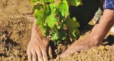 &Xi;&epsilon;&kappa;&iota;&nu;ά &eta; &upsilon;&pi;&omicron;&beta;&omicron;&lambda;ή &alpha;&iota;&tau;ή&sigma;&epsilon;&omega;&nu; &gamma;&iota;&alpha; &nu;έ&epsilon;&sigmaf; &phi;&upsilon;&tau;&epsilon;ύ&sigma;&epsilon;&iota;&sigmaf; &alpha;&mu;&pi;&epsilon;&lambda;ώ&nu;&omega;&nu; &tau;&omicron; 2026 &sigma;&tau;&eta; &Lambda;έ&sigma;&beta;&omicron;, &Lambda;ή&mu;&nu;&omicron; &kappa;&alpha;&iota; &Chi;ί&omicron;