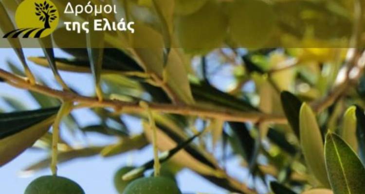 Συμμετοχή της Περιφέρειας Βορείου Αιγαίου στο Πρόγραμμα Πολιτιστικών Διαδρομών «Δρόμοι της Ελιάς»