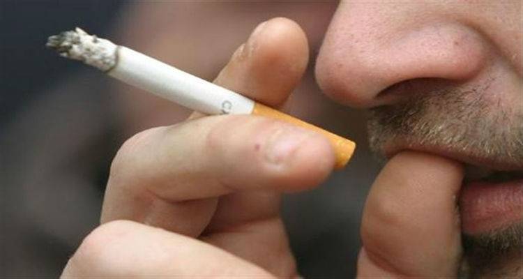 &Pi;&alpha;&gamma;&kappa;ό&sigma;&mu;&iota;&alpha; &eta;&mu;έ&rho;&alpha; &kappa;&alpha;&tau;ά &tau;&omicron;&upsilon; &Kappa;&alpha;&pi;&nu;ί&sigma;&mu;&alpha;&tau;&omicron;&sigmaf; 2017: &Tau;&omicron; &Kappa;ά&pi;&nu;&iota;&sigma;&mu;&alpha;.. &alpha;&pi;ό  &sigma;&upsilon;&nu;ή&theta;&epsilon;&iota;&alpha;... &sigma;&omicron;&beta;&alpha;&rho;ή  &epsilon;&xi;ά&rho;&tau;&eta;&sigma;&eta;