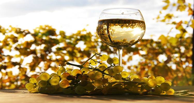 &Beta;&rho;&alpha;&beta;&epsilon;ύ&theta;&eta;&kappa;&alpha;&nu; &kappa;&rho;&alpha;&sigma;&iota;ά &tau;&eta;&sigmaf; &Lambda;ή&mu;&nu;&omicron;&upsilon; &sigma;&tau;&alpha; &laquo;Wine Olymp Awards 2017&raquo;