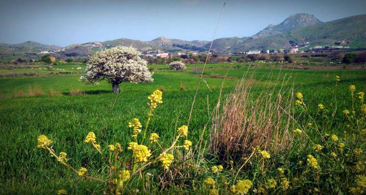 &Nu;&epsilon;&phi;ώ&sigma;&epsilon;&iota;&sigmaf; &kappa;&alpha;&iota; ά&nu;&omicron;&delta;&omicron;&sigmaf; &tau;&eta;&sigmaf; &theta;&epsilon;&rho;&mu;&omicron;&kappa;&rho;&alpha;&sigma;ί&alpha;&sigmaf;