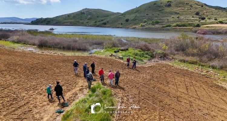 &Alpha;&pi;ό 28 &Alpha;&pi;&rho;&iota;&lambda;ί&omicron;&upsilon; &omicron;&iota; &alpha;&iota;&tau;ή&sigma;&epsilon;&iota;&sigmaf; &laquo;&Alpha;&nu;&alpha;&delta;&iota;ά&rho;&theta;&rho;&omega;&sigma;&eta; &kappa;&alpha;&iota; &mu;&epsilon;&tau;&alpha;&tau;&rho;&omicron;&pi;ή &alpha;&mu;&pi;&epsilon;&lambda;ώ&nu;&omega;&nu;&raquo;
