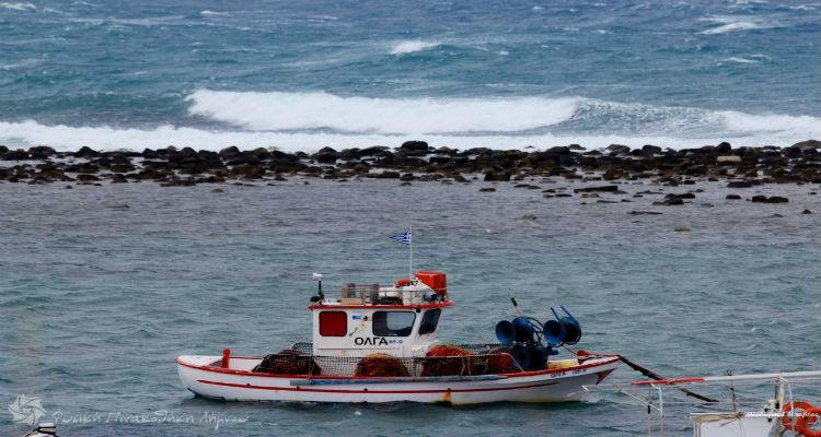 &Kappa;&alpha;&kappa;&omicron;&kappa;&alpha;&iota;&rho;ί&alpha; &sigma;&epsilon; ό&lambda;&eta; &tau;&eta;&nu; &chi;ώ&rho;&alpha; &mu;&epsilon; &beta;&rho;&omicron;&chi;έ&sigmaf; &kappa;&alpha;&tau;&alpha;&iota;&gamma;ί&delta;&epsilon;&sigmaf; &kappa;&alpha;&iota; &iota;&sigma;&chi;&upsilon;&rho;&omicron;ύ&sigmaf; &alpha;&nu;έ&mu;&omicron;&upsilon;&sigmaf;