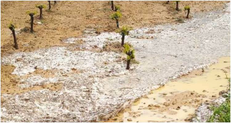 Λήμνος: «Κάντε γνωστή τη ζημιά στα αμπέλια σας από τη χαλαζόπτωση»