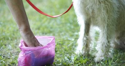 &laquo;&Kappa;&alpha;&mu;&pi;&alpha;&nu;ά&kappa;&iota;&raquo; &alpha;&pi;ό &tau;&omicron;&nu; &Delta;ή&mu;&omicron; &Lambda;ή&mu;&nu;&omicron;&upsilon; &sigma;&tau;&omicron;&upsilon;&sigmaf; &iota;&delta;&iota;&omicron;&kappa;&tau;ή&tau;&epsilon;&sigmaf; &kappa;&alpha;&tau;&omicron;&iota;&kappa;&iota;&delta;ί&omega;&nu; &gamma;&iota;&alpha; &tau;&alpha; &pi;&epsilon;&rho;&iota;&tau;&tau;ώ&mu;&alpha;&tau;&alpha; &zeta;ώ&omega;&nu; &sigma;&epsilon; &kappa;&omicron;&iota;&nu;ό&chi;&rho;&eta;&sigma;&tau;&omicron;&upsilon;&sigmaf; &chi;ώ&rho;&omicron;&upsilon;&sigmaf;