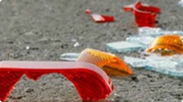 &Tau;&alpha; &theta;&rho;ύ&psi;&alpha;&lambda;&alpha; &alpha;&pi;ό &tau;&omicron; &phi;&alpha;&nu;ά&rho;&iota; &laquo;&pi;&rho;ό&delta;&omega;&sigma;&alpha;&nu;&raquo; &tau;&omicron;&nu; &omicron;&delta;&eta;&gamma;ό &alpha;&pi;ό &tau;&omicron; &tau;&rho;&omicron;&chi;&alpha;ί&omicron; &sigma;&tau;&eta;&nu; &Kappa;&alpha;&lambda;&lambda;&iota;&theta;έ&alpha;