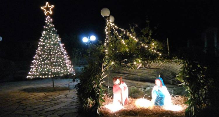 &Sigma;&tau;&omicron;&lambda;&iota;&sigma;&mu;ό&sigmaf; &delta;έ&nu;&tau;&rho;&omicron;&upsilon; &sigma;&tau;&omicron;&nu; &Mu;&omicron;ύ&delta;&rho;&omicron; &tau;&eta;&nu; &Tau;&epsilon;&tau;ά&rho;&tau;&eta; 12 &Delta;&epsilon;&kappa;&epsilon;&mu;&beta;&rho;ί&omicron;&upsilon;