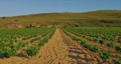 &Pi;&rho;&omicron;&sigmaf; &kappa;&alpha;&theta;&iota;έ&rho;&omega;&sigma;&eta; &tau;&omicron;&pi;&iota;&kappa;ή&sigmaf; &pi;&omicron;&iota;&kappa;&iota;&lambda;ί&alpha;&sigmaf; &gamma;&iota;&alpha; &tau;&alpha; &nu;&eta;&sigma;&iota;ά &tau;&omicron;&upsilon; &Beta;&omicron;&rho;&epsilon;ί&omicron;&upsilon; &Alpha;&iota;&gamma;&alpha;ί&omicron;&upsilon;