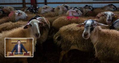 &Delta;&omicron;&upsilon;&delta;&omega;&nu;ή&sigmaf;: &laquo;&Kappa;&rho;ί&sigma;&iota;&mu;&eta; &eta; έ&lambda;&lambda;&epsilon;&iota;&psi;&eta; &delta;&eta;&mu;ό&sigma;&iota;&omega;&nu; &kappa;&tau;&eta;&nu;&iota;ά&tau;&rho;&omega;&nu; &sigma;&epsilon; &Lambda;έ&sigma;&beta;&omicron; &kappa;&alpha;&iota; &Lambda;ή&mu;&nu;&omicron;. &Mu;ό&lambda;&iota;&sigmaf; 6 &kappa;&tau;&eta;&nu;ί&alpha;&tau;&rho;&omicron;&iota; &gamma;&iota;&alpha; 400.000 &alpha;&iota;&gamma;&omicron;&pi;&rho;ό&beta;&alpha;&tau;&alpha;&raquo;