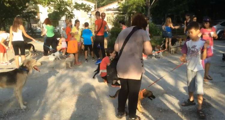 &Tau;&alpha; &laquo;&alpha;&delta;&epsilon;&sigma;&pi;&omicron;&tau;ά&kappa;&iota;&alpha;&raquo; &tau;&eta;&sigmaf; &Lambda;ή&mu;&nu;&omicron;&upsilon; &pi;ή&gamma;&alpha;&nu; &beta;ό&lambda;&tau;&alpha; (video)