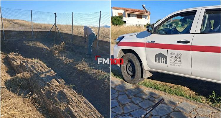 &Xi;&epsilon;&kappa;ί&nu;&eta;&sigma;&alpha;&nu; &omicron;&iota; &epsilon;&rho;&gamma;&alpha;&sigma;ί&epsilon;&sigmaf; &sigma;&upsilon;&nu;&tau;ή&rho;&eta;&sigma;&eta;&sigmaf; &kappa;&alpha;&iota; &nu;έ&alpha;&sigmaf; &alpha;&nu;&alpha;&sigma;&kappa;&alpha;&phi;ή&sigmaf; &sigma;&tau;&omicron;&nu; &alpha;&pi;&omicron;&lambda;&iota;&theta;&omega;&mu;έ&nu;&omicron; &kappa;&omicron;&rho;&mu;ό &tau;&omicron;&upsilon; &Beta;ά&rho;&omicron;&upsilon;&sigmaf; | Έ&nu;&alpha; &mu;&omicron;&nu;&alpha;&delta;&iota;&kappa;ό &mu;&nu;&eta;&mu;&epsilon;ί&omicron; 20 &epsilon;&kappa;&alpha;&tau;&omicron;&mu;&mu;&upsilon;&rho;ί&omega;&nu; &epsilon;&tau;ώ&nu;