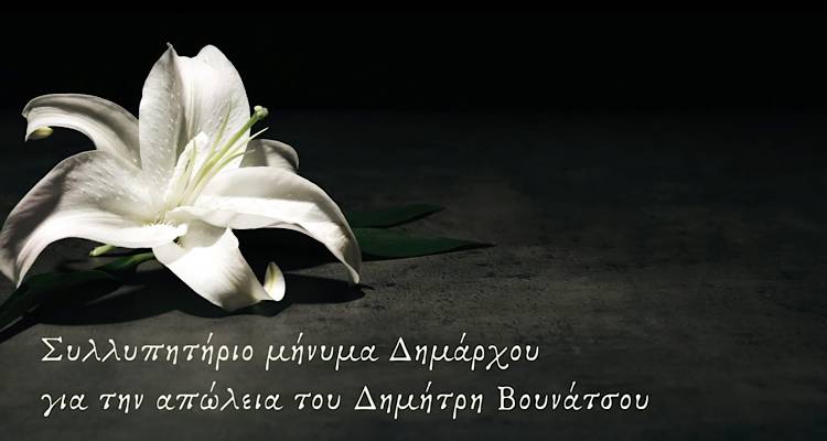 &Sigma;&upsilon;&lambda;&lambda;&upsilon;&pi;&eta;&tau;ή&rho;&iota;&omicron; &mu;ή&nu;&upsilon;&mu;&alpha; &Gamma;&epsilon;ώ&rho;&gamma;&alpha; &gamma;&iota;&alpha; &tau;&eta;&nu; &alpha;&pi;ώ&lambda;&epsilon;&iota;&alpha; &tau;&omicron;&upsilon; &Delta;&eta;&mu;ή&tau;&rho;&eta; &Beta;&omicron;&upsilon;&nu;ά&tau;&sigma;&omicron;&upsilon;