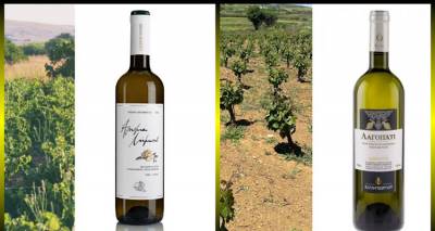 aroma-limnou-kai-lagopati-proteinei-metaksy-allon-to-andro