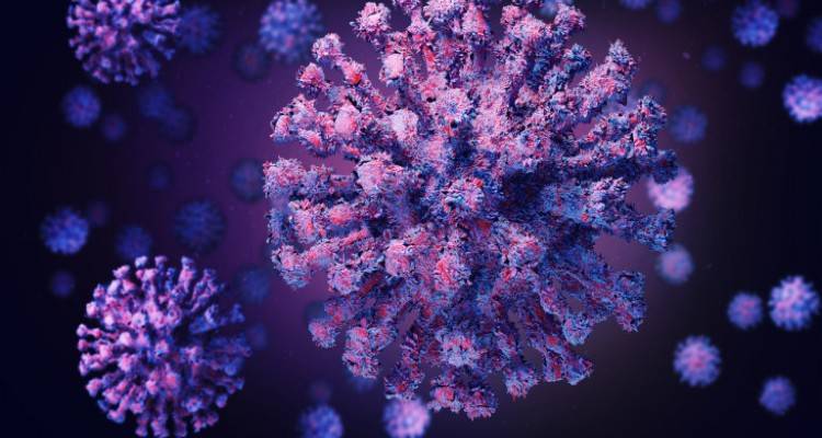 Ελπιδοφόρα έρευνα: Άνθρωποι που δεν έχουν εκτεθεί στο νέο κορωνοϊό πιθανώς να έχουν «κρυφή» άμυνα