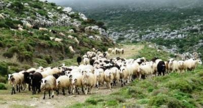 Το Τμήμα Κτηνιατρικής υπενθυμίζει…