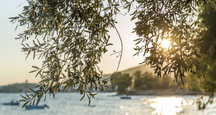 Ο Σεπτέμβριος του 2019 ήταν ο πιο ζεστός τα τελευταία 140 χρόνια