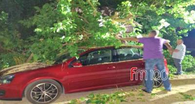 &Alpha;&tau;&sigma;&iota;&kappa;ή: &Pi;&tau;ώ&sigma;&eta; &mu;&epsilon;&gamma;ά&lambda;&omicron;&upsilon; &kappa;&lambda;&alpha;&delta;&iota;&omicron;ύ &mu;&omicron;&upsilon;&rho;&iota;ά&sigmaf; &pi;&rho;&omicron;&kappa;ά&lambda;&epsilon;&sigma;&epsilon; &zeta;&eta;&mu;&iota;έ&sigmaf; &sigma;&epsilon; ό&chi;&eta;&mu;&alpha;