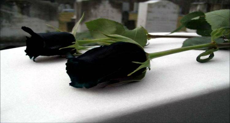 &Eta; &omicron;&mu;ά&delta;&alpha; &tau;&omicron;&upsilon; &Kappa;&omicron;&nu;&tau;&iota;ά &gamma;&iota;&alpha; &tau;&omicron; &chi;&alpha;&mu;ό &tau;&omicron;&upsilon; 23&chi;&rho;&omicron;&nu;&omicron;&upsilon; &nu;έ&omicron;&upsilon;