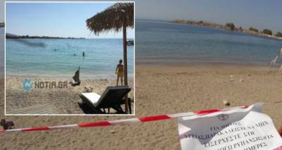 &Alpha;&pi;ί&sigma;&tau;&epsilon;&upsilon;&tau;&omicron;: &Mu;&iota;&kappa;&rho;ά &pi;&alpha;&iota;&delta;&iota;ά &kappa;ά&nu;&omicron;&upsilon;&nu; &mu;&pi;ά&nu;&iota;&omicron; &sigma;&tau;&alpha; &mu;&omicron;&lambda;&upsilon;&sigma;&mu;έ&nu;&alpha; &nu;&epsilon;&rho;ά &tau;&omicron;&upsilon; &Alpha;&lambda;ί&mu;&omicron;&upsilon; (photos + video)