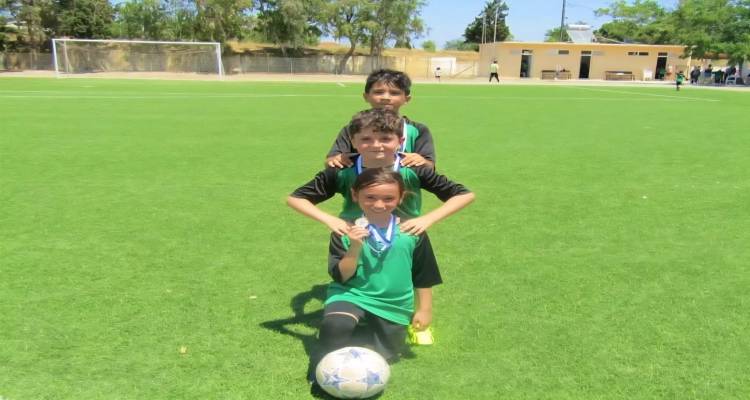 &Nu;έ&omicron; &pi;&rho;ό&gamma;&rho;&alpha;&mu;&mu;&alpha; &pi;&rho;&omicron;&pi;&omicron;&nu;ή&sigma;&epsilon;&omega;&nu; &gamma;&iota;&alpha; &tau;&omicron; 2025-26 &alpha;&pi;ό &tau;&omicron;&nu; &Alpha;.&Omicron;. &Eta;&phi;&alpha;&iota;&sigma;&tau;ί&alpha; &Kappa;&omicron;&nu;&tau;&omicron;&pi;&omicron;&upsilon;&lambda;ί&omicron;&upsilon; &Lambda;ή&mu;&nu;&omicron;&upsilon;