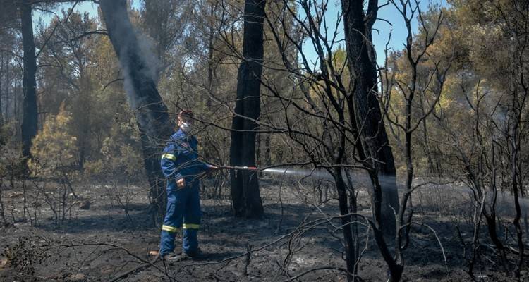 Φωτιά στα Βίλια: Καλύτερη η εικόνα του πύρινου μετώπου | Μάχη με τις αναζωπυρώσεις