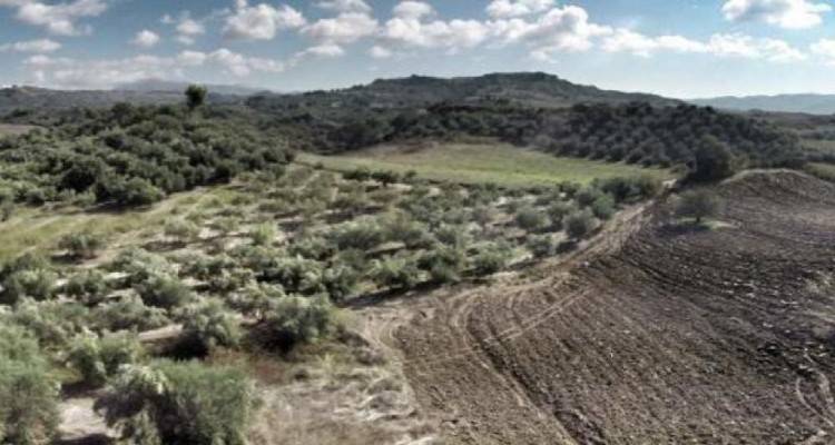 9 ημέρες προθεσμία για τους δασικούς χάρτες