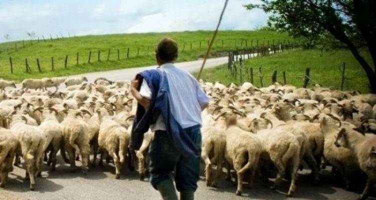 &Pi;&rho;&omicron;&sigmaf; &alpha;&pi;&omicron;&zeta;&eta;&mu;ί&omega;&sigma;&eta; &omicron;&iota; &kappa;&tau;&eta;&nu;&omicron;&tau;&rho;ό&phi;&omicron;&iota; &Lambda;ή&mu;&nu;&omicron;&upsilon; &kappa;&alpha;&iota; &Lambda;έ&sigma;&beta;&omicron;&upsilon; &gamma;&iota;&alpha; &tau;&iota;&sigmaf; &alpha;&pi;ώ&lambda;&epsilon;&iota;&epsilon;&sigmaf; &alpha;&pi;ό &tau;&omicron;&nu; &kappa;&alpha;&tau;&alpha;&rho;&rho;&omicron;ϊ&kappa;ό &pi;&upsilon;&rho;&epsilon;&tau;ό (video)