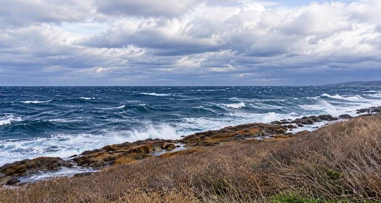 &Sigma;&epsilon; &pi;&omicron;&rho;&tau;&omicron;&kappa;&alpha;&lambda;ί &pi;&rho;&omicron;&epsilon;&iota;&delta;&omicron;&pi;&omicron;ί&eta;&sigma;&eta; &tau;&omicron; &alpha;&nu;&alpha;&tau;&omicron;&lambda;&iota;&kappa;ό &Alpha;&iota;&gamma;&alpha;ί&omicron; | &Epsilon;&nu;&eta;&mu;έ&rho;&omega;&sigma;&eta; &alpha;&pi;ό &tau;&omicron; &Lambda;&iota;&mu;&epsilon;&nu;&alpha;&rho;&chi;&epsilon;ί&omicron; &Mu;ύ&rho;&iota;&nu;&alpha;&sigmaf; &gamma;&iota;&alpha; &iota;&sigma;&chi;&upsilon;&rho;έ&sigmaf; &beta;&rho;&omicron;&chi;έ&sigmaf; &kappa;&alpha;&iota; &kappa;&alpha;&tau;&alpha;&iota;&gamma;ί&delta;&epsilon;&sigmaf;