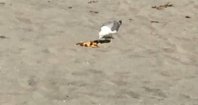 &Zeta;&eta;&tau;&epsilon;ί&tau;&alpha;&iota; &beta;&omicron;ή&theta;&epsilon;&iota;&alpha; &gamma;&iota;&alpha; &tau;&omicron;&nu; &tau;&rho;&alpha;&upsilon;&mu;&alpha;&tau;&iota;&sigma;&mu;έ&nu;&omicron; &laquo;&Iota;&omega;&nu;ά&theta;&alpha;&nu;&raquo; &tau;&eta;&sigmaf; &Lambda;ή&mu;&nu;&omicron;&upsilon;