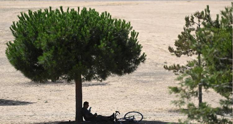 Καύσωνας: Το φετινό καλοκαίρι το πιο ζεστό στην ιστορία της Βρετανίας | Το θερμόμετρο ξεπέρασε τους... 40 βαθμούς