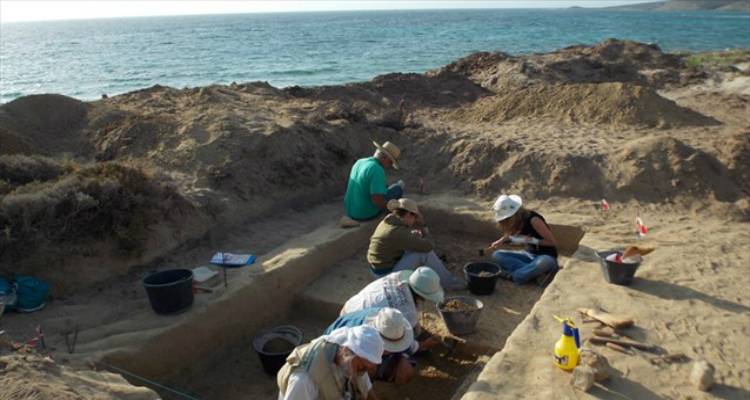 Άποψη ανασκαφής του 2014 από το ΑΠΘ στην παραλιακή περιοχή της Φυσίνης Λήμνου