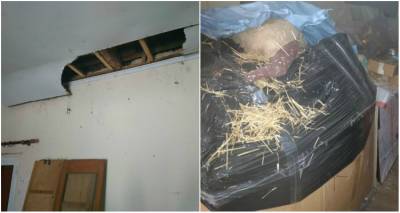 &Epsilon;&pi;&iota;&sigma;&tau;&omicron;&lambda;ή &Kappa;&alpha;&tau;&epsilon;&beta;&alpha;&iota;&nu;ί&delta;&omicron;&upsilon; &sigma;&tau;&omicron;&nu; &Delta;ή&mu;&omicron; &Lambda;ή&mu;&nu;&omicron;&upsilon; &gamma;&iota;&alpha; &tau;&alpha; &pi;&rho;&omicron;&beta;&lambda;ή&mu;&alpha;&tau;&alpha; &tau;&omicron;&upsilon; &Epsilon;&iota;&delta;&iota;&kappa;&omicron;ύ &Sigma;&chi;&omicron;&lambda;&epsilon;ί&omicron;&upsilon; &Kappa;&alpha;&lambda;&lambda;&iota;&theta;έ&alpha;&sigmaf; (photos)